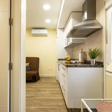 Apartmán Malagasuite Bermeja *